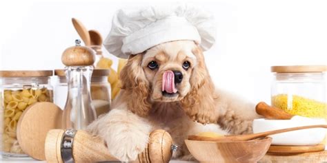What happened to cooking with dog?